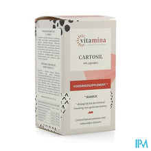 Afbeelding in Gallery-weergave laden, Vita Mina Cartosil Caps 60