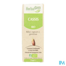Charger l'image dans la galerie, Herbalgem Zwarte Bes Maceraat 15ml