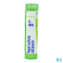 Afbeelding in Gallery-weergave laden, Hepar Sulfuris Calcareum 5ch Gr 4g Boiron