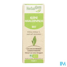Charger l'image dans la galerie, Herbalgem Maagdenpalm Maceraat 15ml