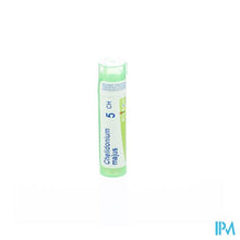 Afbeelding in Gallery-weergave laden, Chelidonium Majus 5ch Gr 4g Boiron