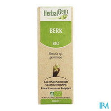 Charger l'image dans la galerie, Herbalgem Berk Maceraat 50ml