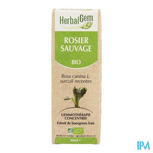 Charger l'image dans la galerie, Herbalgem Hondsroos Maceraat 50ml