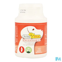 Afbeelding in Gallery-weergave laden, Msm Glucosamine Comp 100