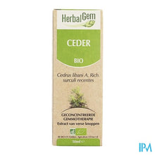 Charger l'image dans la galerie, Herbalgem Libanonceder Maceraat 50ml