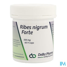 Load image into Gallery viewer, Ribes Nigrum V-caps 60 Deba