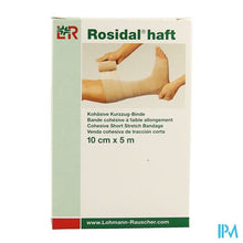 Load image into Gallery viewer, Rosidal Haft Cohesieve Windel 10cmx5m 1 31975