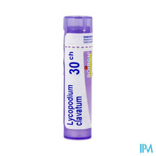 Afbeelding in Gallery-weergave laden, Lycopodium Clavatum 30k Gr 4g Boiron