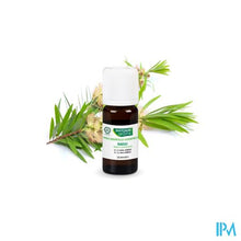 Load image into Gallery viewer, Phytosun Niaouli Eco 10ml
