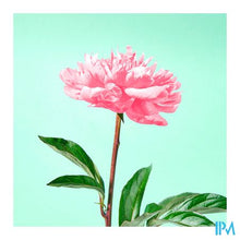 Afbeelding in Gallery-weergave laden, Jowae Reiniging Oliegel Tube 100ml