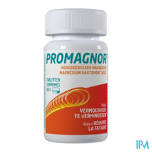 Load image into Gallery viewer, Promagnor Tabl 90