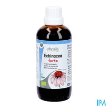 Charger l'image dans la galerie, Physalis Epf Echinacea Purpurea Bio 100ml