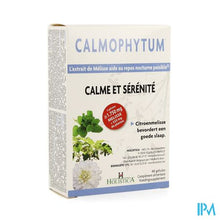 Load image into Gallery viewer, Calmophytum Gel 48 Holistica