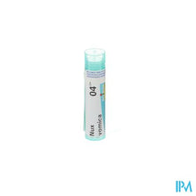 Afbeelding in Gallery-weergave laden, Nux Vomica 4ch Gr 4g Boiron