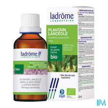 Afbeelding in Gallery-weergave laden, Ladrome Plantago Lanceolata/smalle Weegbree 50ml