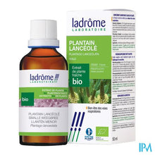 Afbeelding in Gallery-weergave laden, Ladrome Plantago Lanceolata/smalle Weegbree 50ml