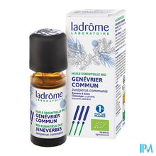 Charger l'image dans la galerie, Ladrome Juniperus Communis/jeneverbesstruik 10ml