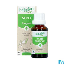 Afbeelding in Gallery-weergave laden, Herbalgem Walnoot Bio 30ml