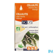 Afbeelding in Gallery-weergave laden, Biolys Groene Thee-orthosifon Bio Tea-bags 20