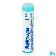 Charger l'image dans la galerie, Staphysagria Mk Gl Boiron