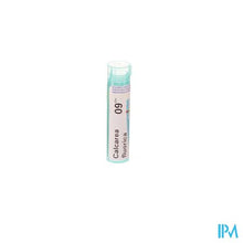 Afbeelding in Gallery-weergave laden, Calcarea Fluorica 9ch Gr 4g Boiron