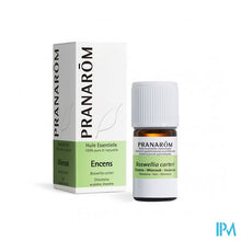 Afbeelding in Gallery-weergave laden, Pranarom Wierook Oliban Somalie 5ml