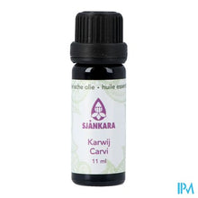 Load image into Gallery viewer, Sjankara Karwij Ess. Olie 11ml