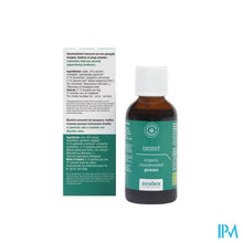 Load image into Gallery viewer, Purasana Puragem Digest 50ml