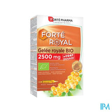 Load image into Gallery viewer, Koninginnengelei Bio 2500mg Amp 20x15ml