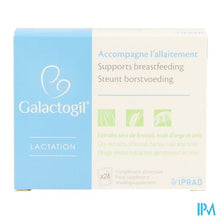 Afbeelding in Gallery-weergave laden, Galactogil Lactatie Pdr Zakje 24