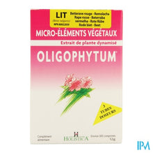 Charger l'image dans la galerie, Oligophytum Lithium Tube Microcomp 3x100 Holistica
