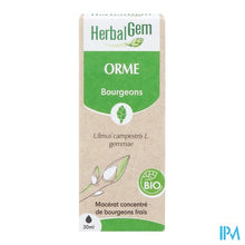 Afbeelding in Gallery-weergave laden, Herbalgem Olm Bio 30ml