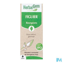 Afbeelding in Gallery-weergave laden, Herbalgem Vijgenboom Bio 30ml