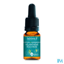 Charger l'image dans la galerie, Ladrome Zonneroosje/rock Rose 10ml