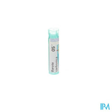 Afbeelding in Gallery-weergave laden, Baryta Carbonicum 5ch Gr 4g Boiron