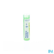 Afbeelding in Gallery-weergave laden, Phytolacca Decandra 5ch Gr 4g Boiron