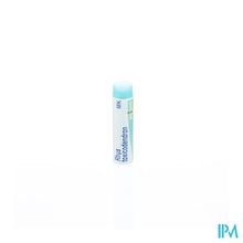 Afbeelding in Gallery-weergave laden, Rhus Toxicodendron Mk Gl Boiron