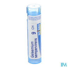 Afbeelding in Gallery-weergave laden, Gelsemium Sempervirens 9ch Gr 4g Boiron
