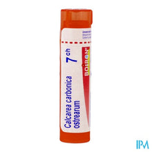 Afbeelding in Gallery-weergave laden, Calcarea Carbonica Ostrearum 7ch Gr 4g Boiron