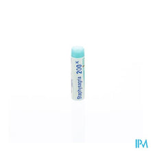 Afbeelding in Gallery-weergave laden, Staphysagria 200k Gl Boiron