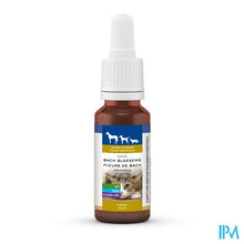 Afbeelding in Gallery-weergave laden, Bachbloesem Dieren Angst Druppels 20ml