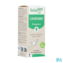 Afbeelding in Gallery-weergave laden, Herbalgem Jeneverbes Bio 30ml