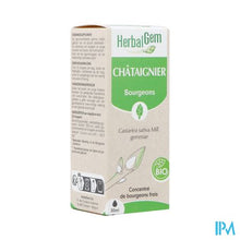 Load image into Gallery viewer, Herbalgem Kastanje Bio 30ml