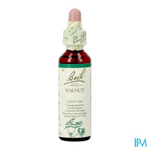 Afbeelding in Gallery-weergave laden, Bach Flower Remedie 33 Walnut 20ml