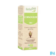 Charger l'image dans la galerie, Herbalgem Kornoelje Maceraat 50ml