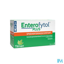 Load image into Gallery viewer, Enterofytol Plus Tabl 56