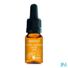 Charger l'image dans la galerie, Ladrome Wijnstok/vine 10ml