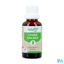 Afbeelding in Gallery-weergave laden, Herbalgem Haagbeuk Bio 30ml