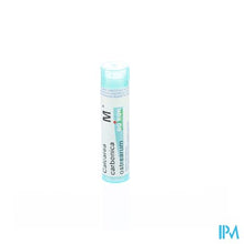 Charger l'image dans la galerie, Calcarea Carbonica Ostrearum Mk Gr 4g Boiron
