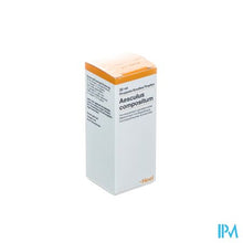 Afbeelding in Gallery-weergave laden, Aesculus-heel Comp. Gutt 30ml Heel